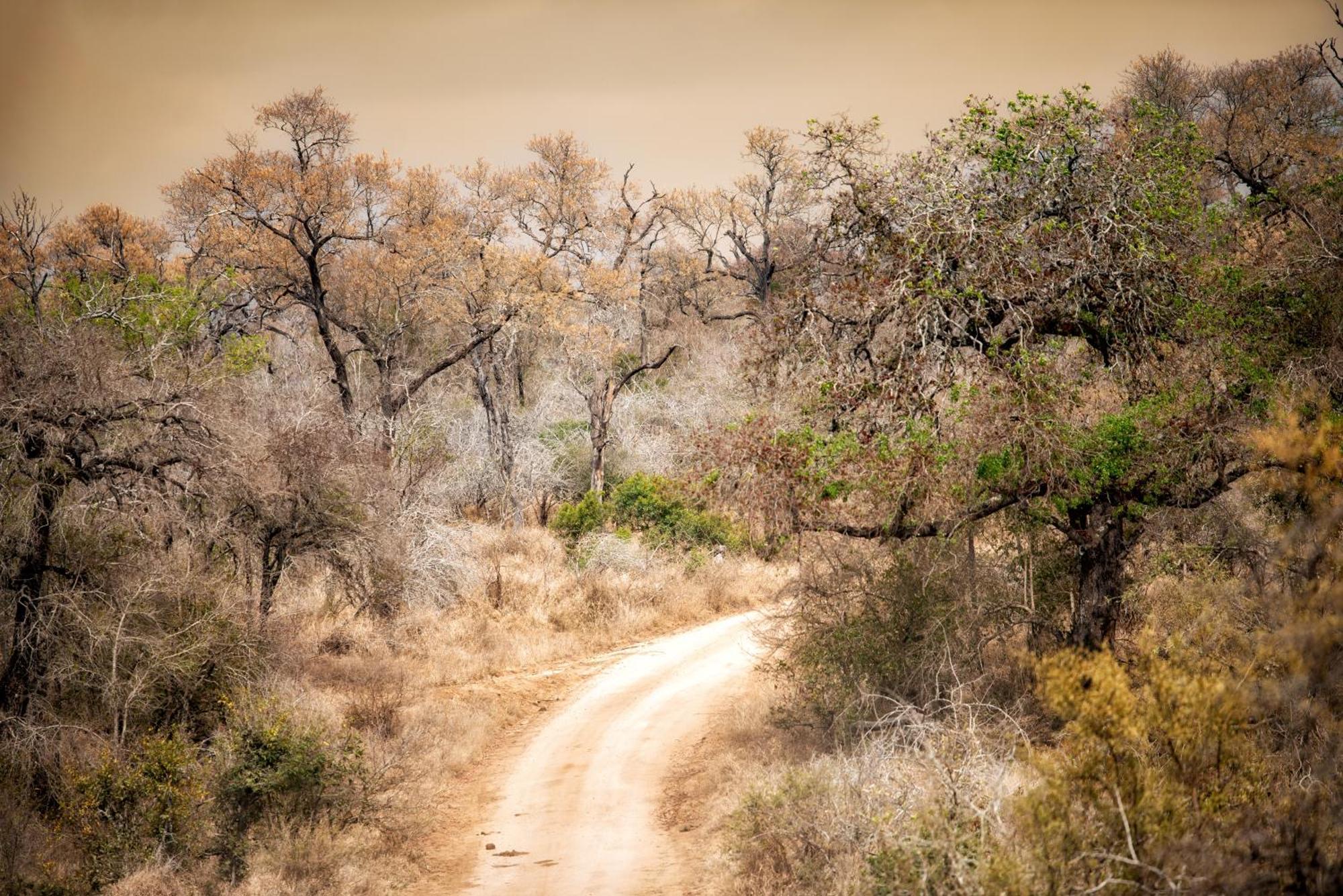 Hotel Rhino Walking Safaris Skukuza Zewnętrze zdjęcie