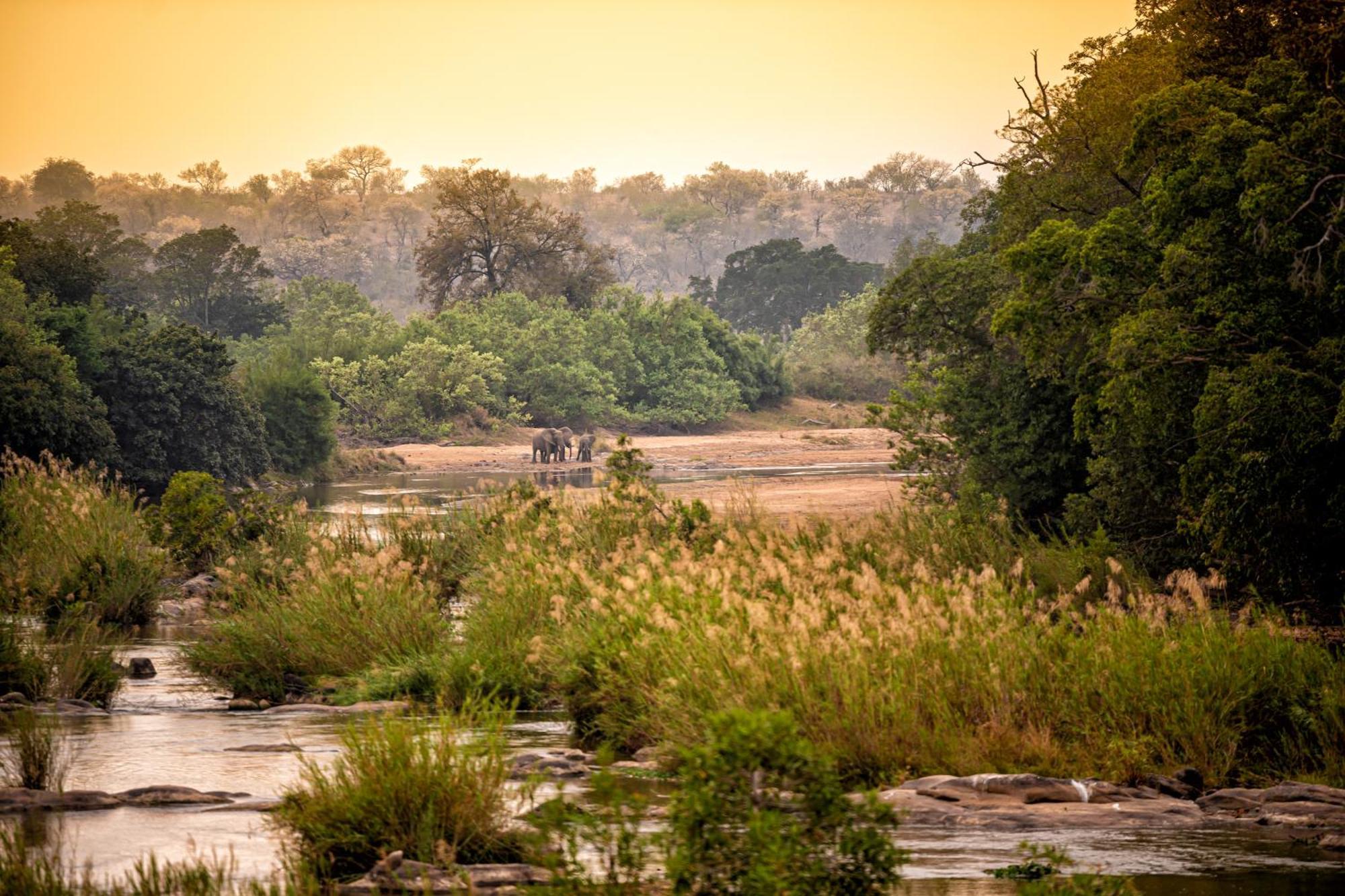 Hotel Rhino Walking Safaris Skukuza Zewnętrze zdjęcie