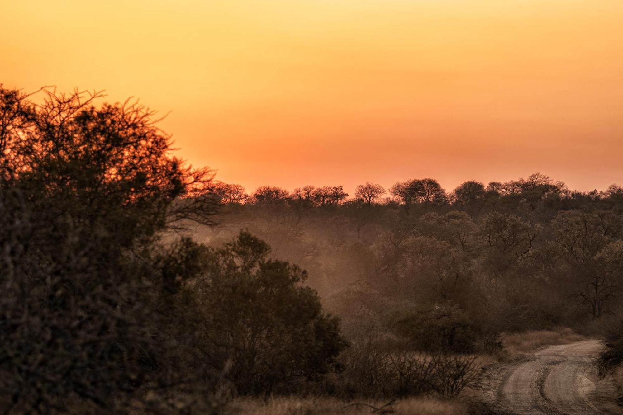 Hotel Rhino Walking Safaris Skukuza Zewnętrze zdjęcie