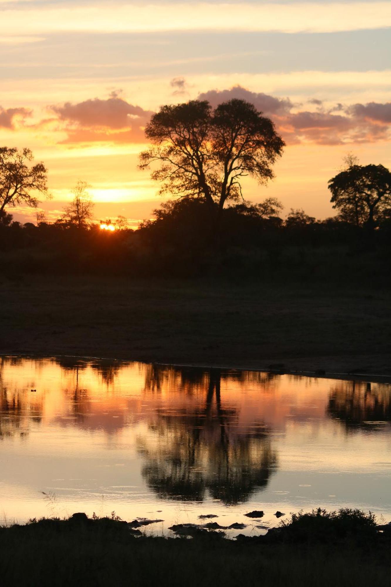 Hotel Rhino Walking Safaris Skukuza Zewnętrze zdjęcie
