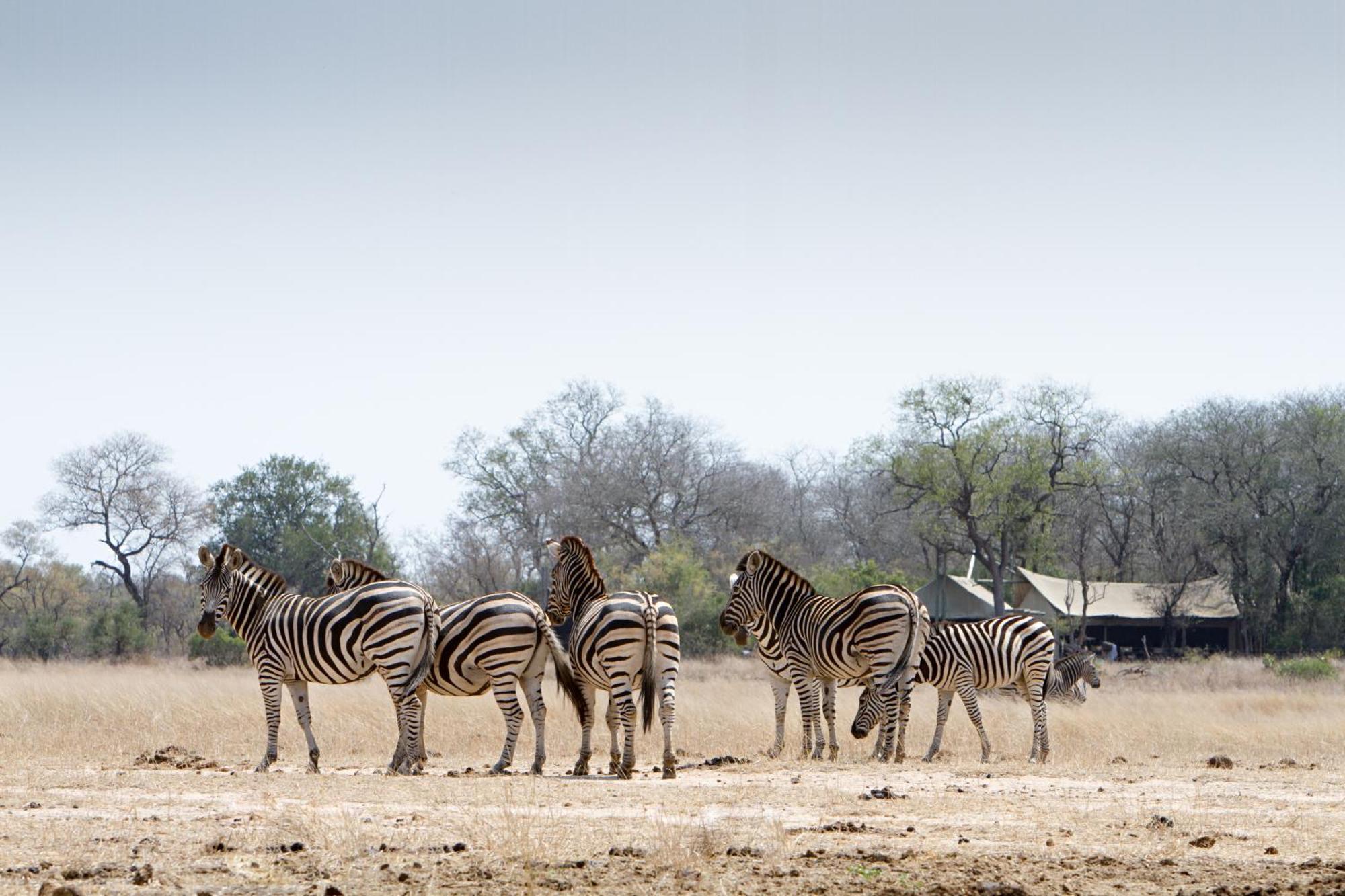 Hotel Rhino Walking Safaris Skukuza Zewnętrze zdjęcie