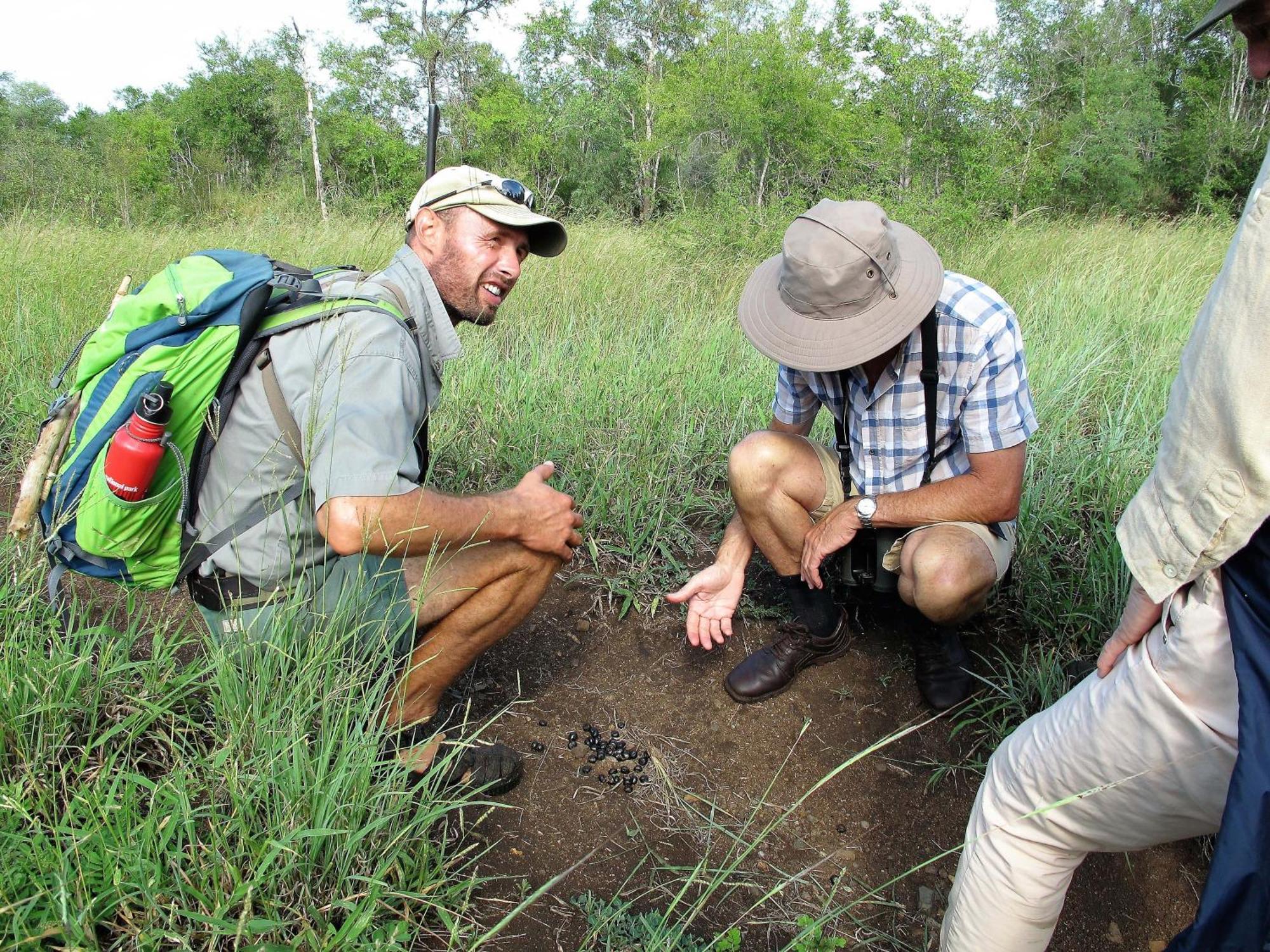 Hotel Rhino Walking Safaris Skukuza Zewnętrze zdjęcie