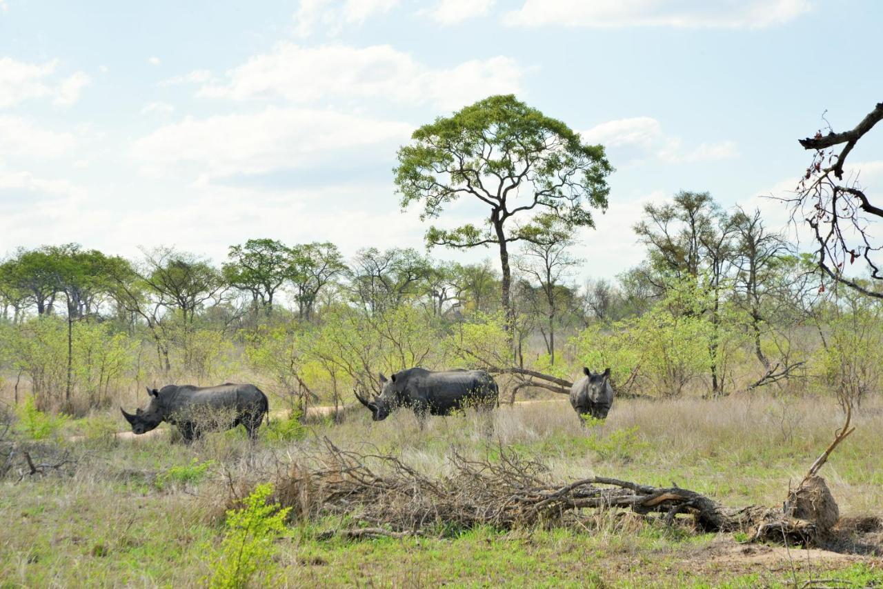 Hotel Rhino Walking Safaris Skukuza Zewnętrze zdjęcie